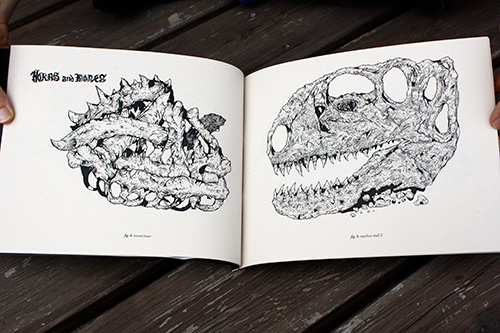 the petrified catalogue by dan wieken
