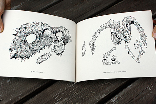 the petrified catalogue by dan wieken