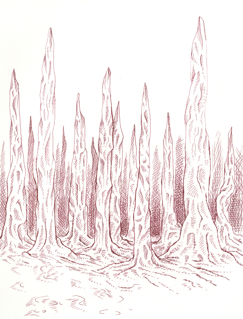 046-petrified-forest